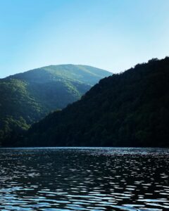 drina 2