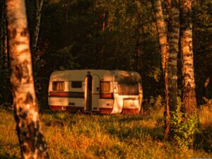thearkow-nature-3099457